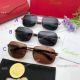 Cartier Double Bridge Titanium Sunglasses - Exact Replica (2)_th.jpg